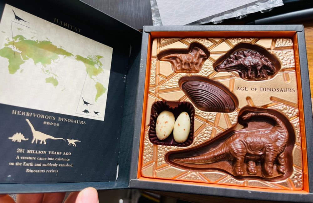 Inside we can find neatly arranged dinosaur and fossil-shaped chocolates