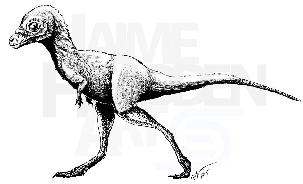 Don't think my propensity for descriptive alt text will help you here.

A juvenile theropod dinosaur, facing left, with one large beady, demonic eye staring back into the viewer's soul, knowing that it alone can unlock the withered and tortured heart and finally, at last, bring a modicum of peace---yea, even ... love.