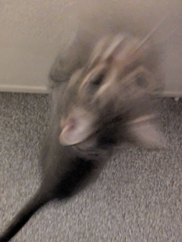 he accelerates towards the camera in a blur