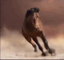 that one where the horse drinks all the water on earth and becomes very large