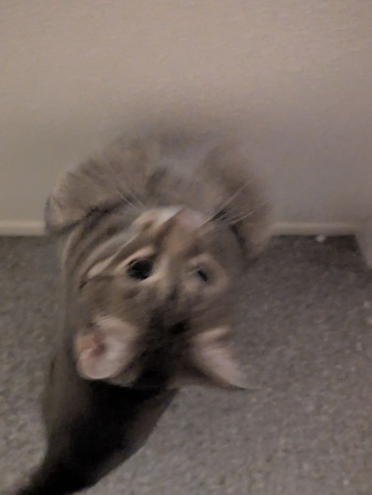 he is pulled towards the camera