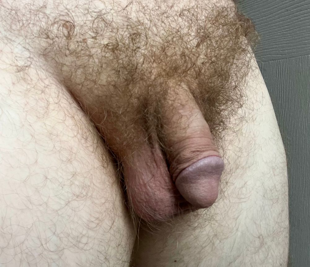 soft male penis and testicles