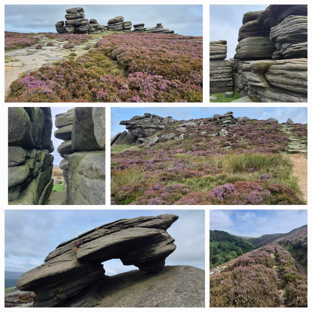 Collage of 6 pics showing gritstone rocks and purple heather 