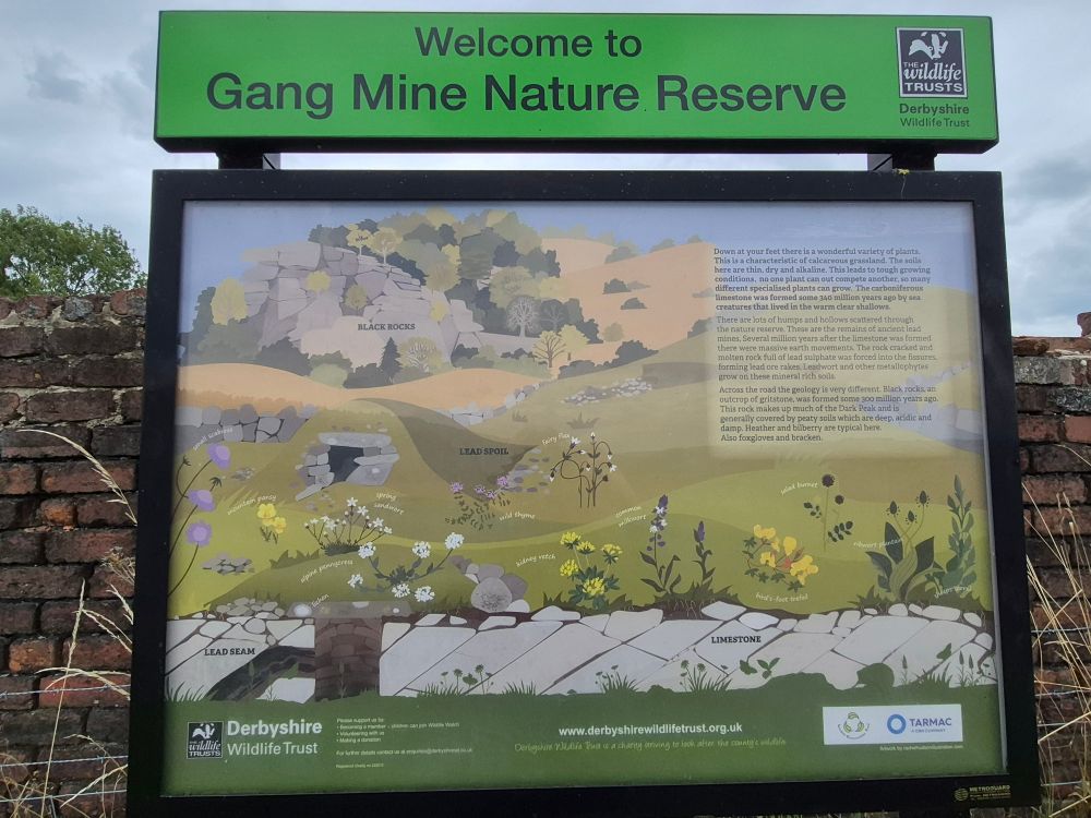 Interpretation board at Gang Mine Derbyshire illustrating plants that can be found there