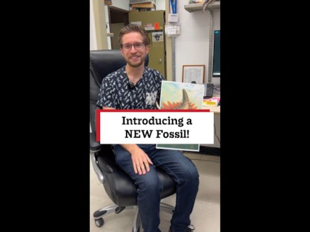 Introducing a NEW Fossil!