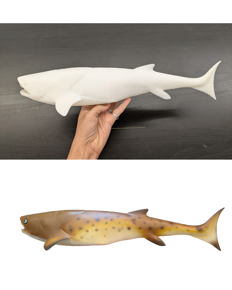 Top, an unpainted model of a shark-like fish. Below, the same model now painted with browns and yellows.