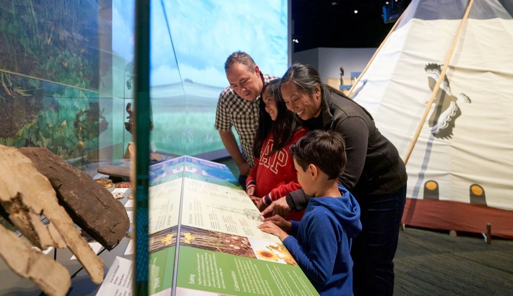 Two adults and two children stand close together, smiling and looking at a Museum display in the Prairies Gallery.