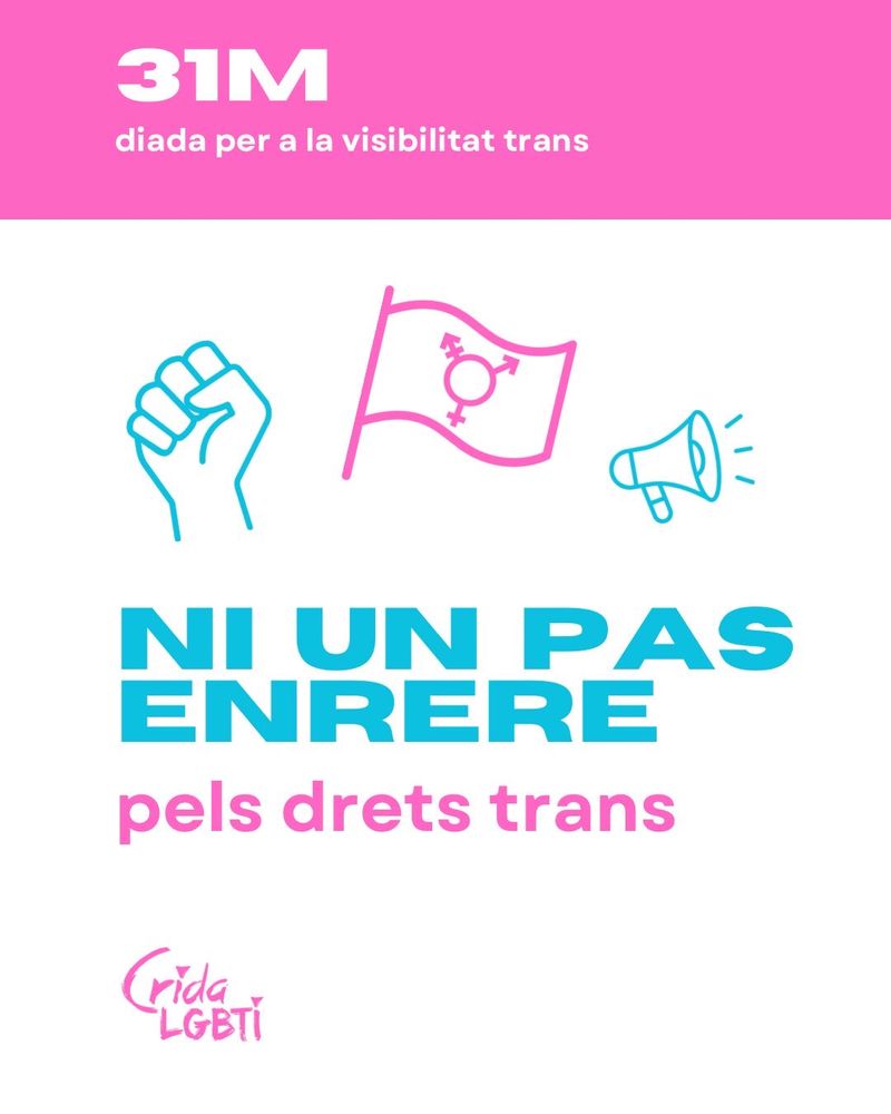 Pòster de la Crida LGBTI commemorant la diada per la visibilitat trans.