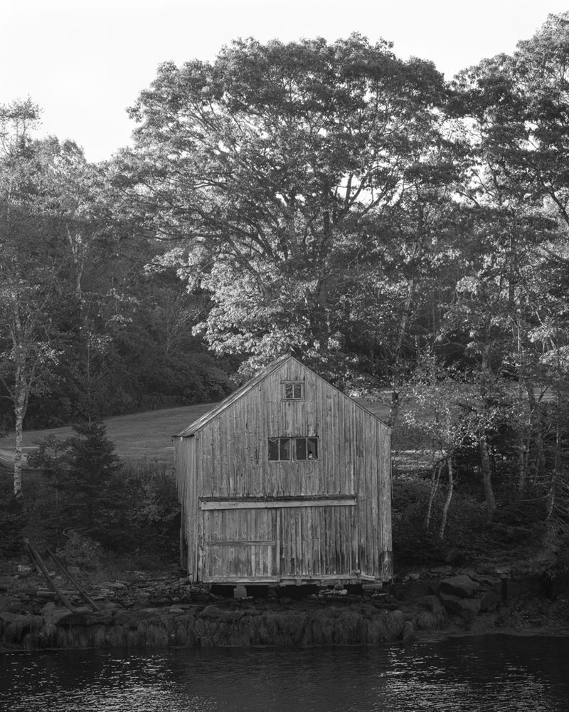 A lone boathouse B&W photo sitting on an inlet shore and backed by sunlit trees. 