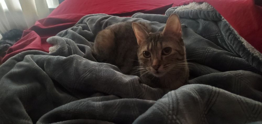 Vice Custodian LaPoppy