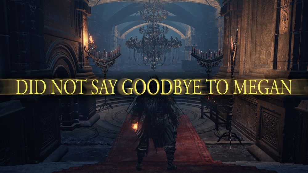 Dark Souls "noun verbed" style macro with "Did not say goodbye to Megan"
