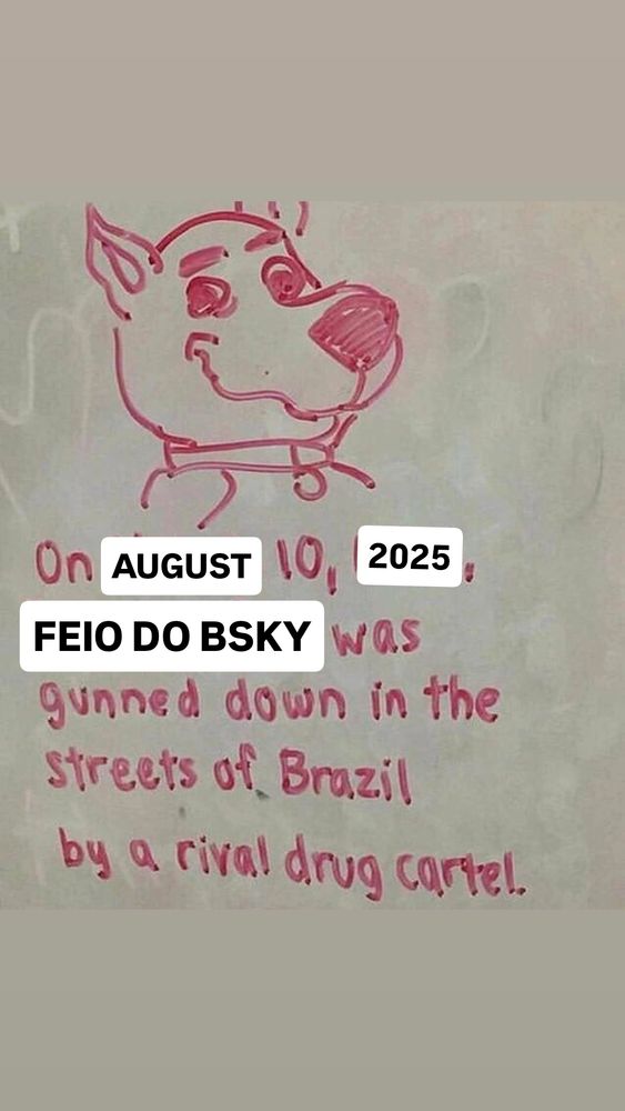 On August 10, 2025, feio do bsky was gunned down in the streets of Brazil by a rival drug cartel.