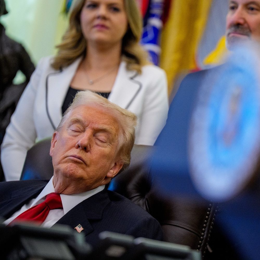 Decaying husk of Donald Trump, severed from the animation magic, crumpled into a state of slumber in the middle of a crowd of his sycophants.