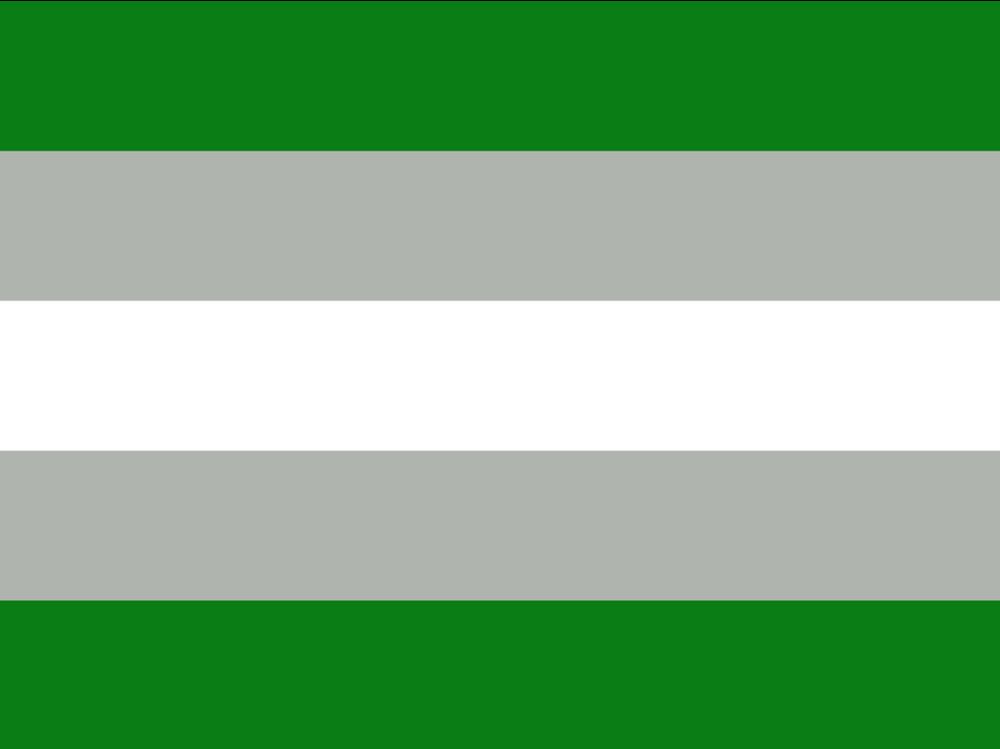 The greyromantic flag, featuring horizontal stripes from top to bottom: green, light grey, white, light grey, green
