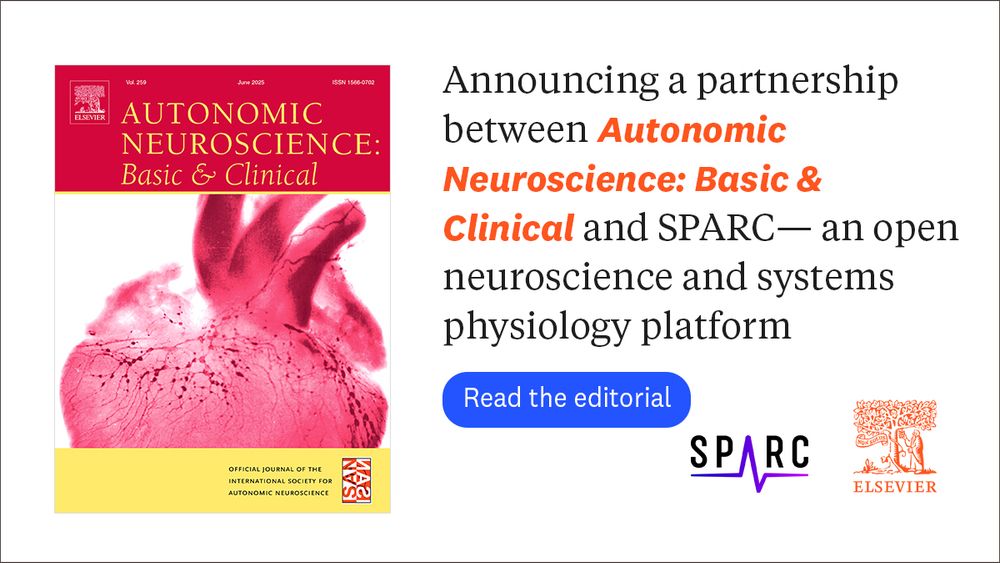 An illustration showing interconnected digital nodes representing a digital twin, with logos of AN:BC and SPARC Portal alongside symbols of neuroscience research.