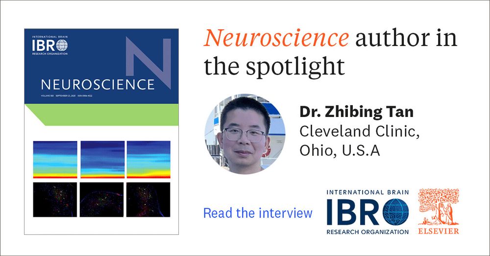 Solving the puzzle of microglia's role in epilepsy