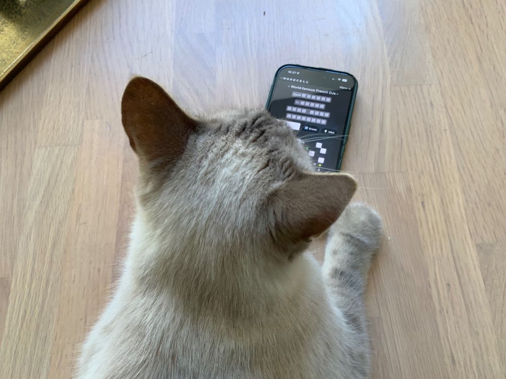 A white cat in front of a phone. He appears to be playing Wordcell. He hasn’t found a single word.