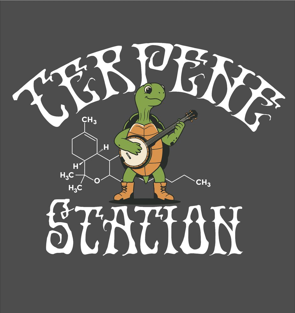 A turtle playing a banjo, obviously getting ready to get high as fuck, as he enjoys THC.
Also, Fuck ICE. Just because.
