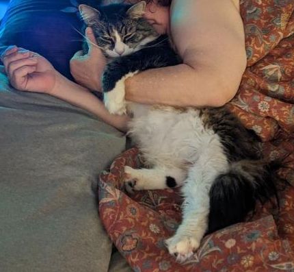 Person sleeping with arm around cat, cat’s foreleg holding person’s arm in place