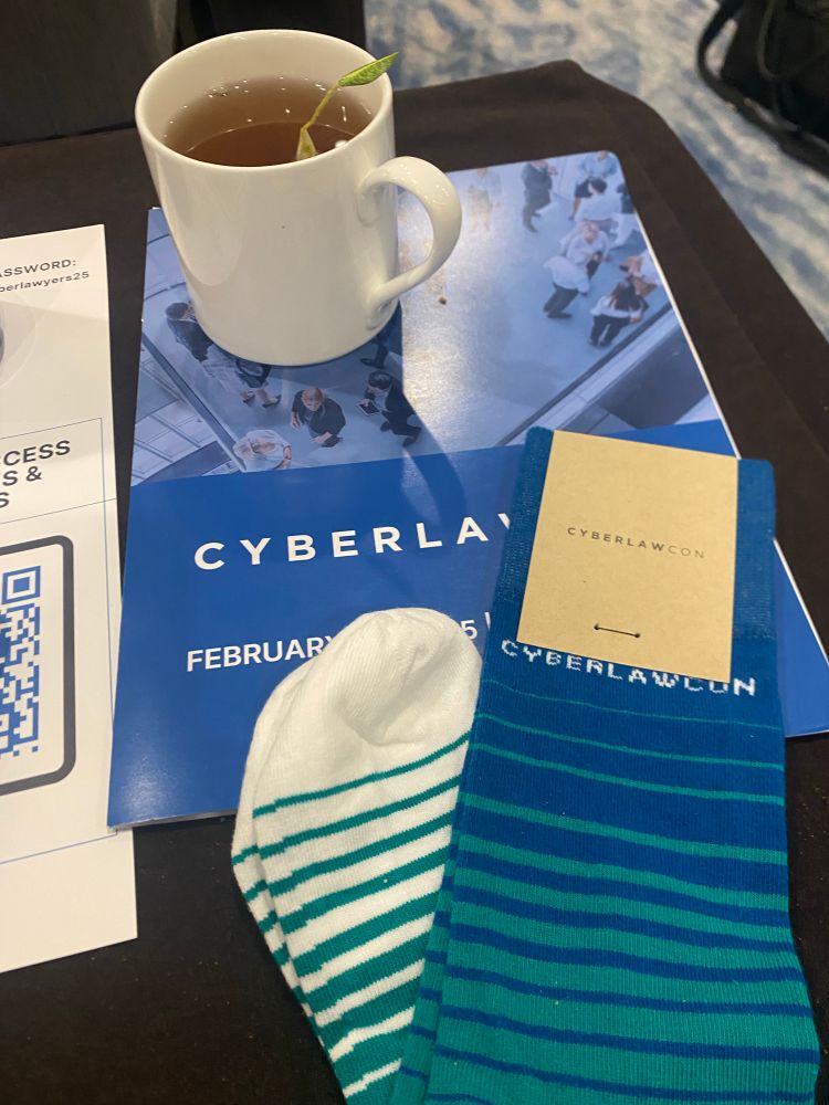 The Cyberlawcon brochure and conference socks.
