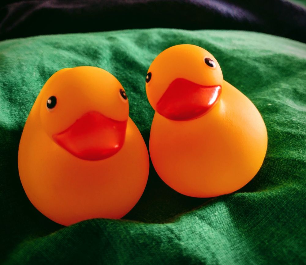 It photo of Troops rubber ducks
They lovely yellow custard colour with big bright orange beaks, they is sat together (both of them) and busy looking cheeky. They on green cloth that look like sea (the ducks have never seen the sea, so they very pleased with cloth) 