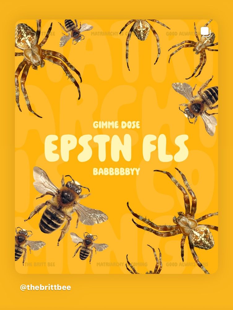 GOOD ALW
GIMME DOSE
EPSTN FLS
BABBBBBYY
HE BRITT BEE
@thebrittbee
