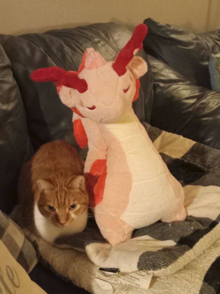 a pink dragon plush with an orange cat loafed by its side