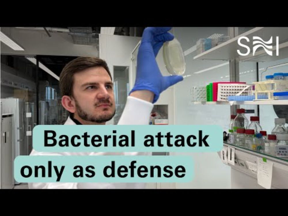 Bacterial attack only as defense