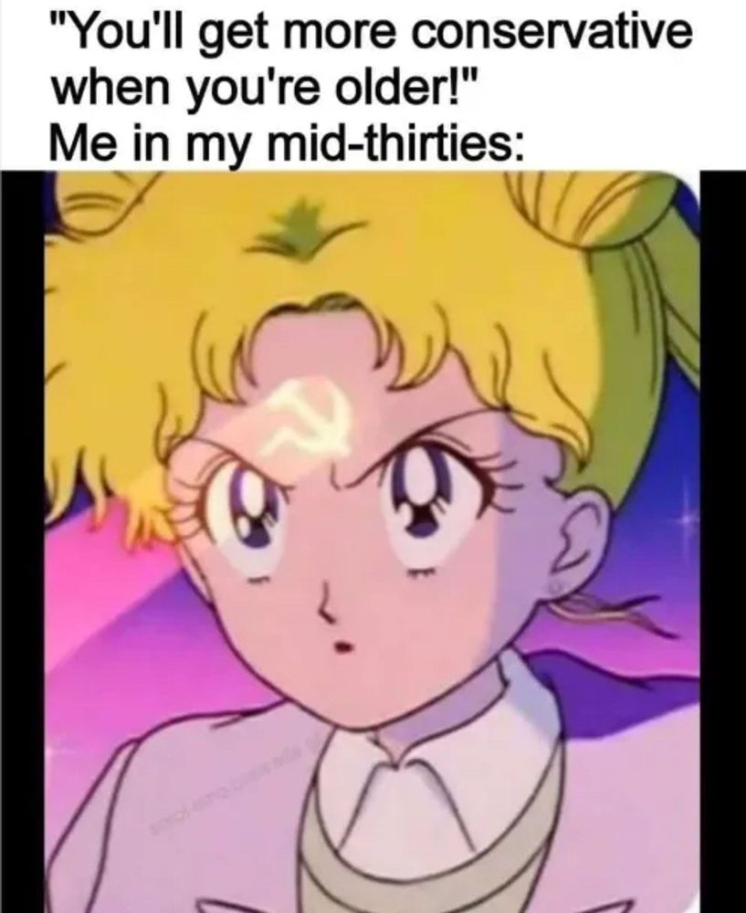 Un même montrant usagi (sailor moon) avec le marteau et la faucille sur le front et la mention : "tu deviendra plus conservateur en grandissant !" Moi au milieu de ma trentaine: