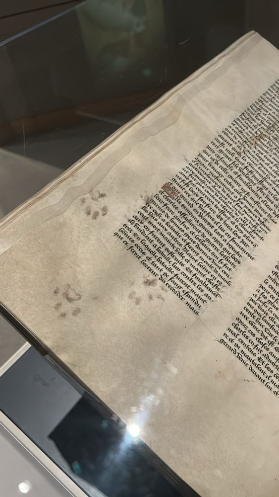 Cat paw prints on a medieval manuscript.