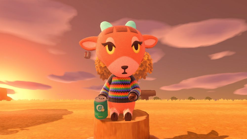 pashmina sitting on a stump holding a can of soda 