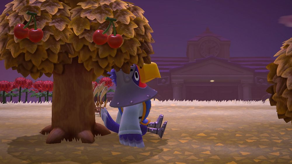 sterling sitting under a cherry tree 