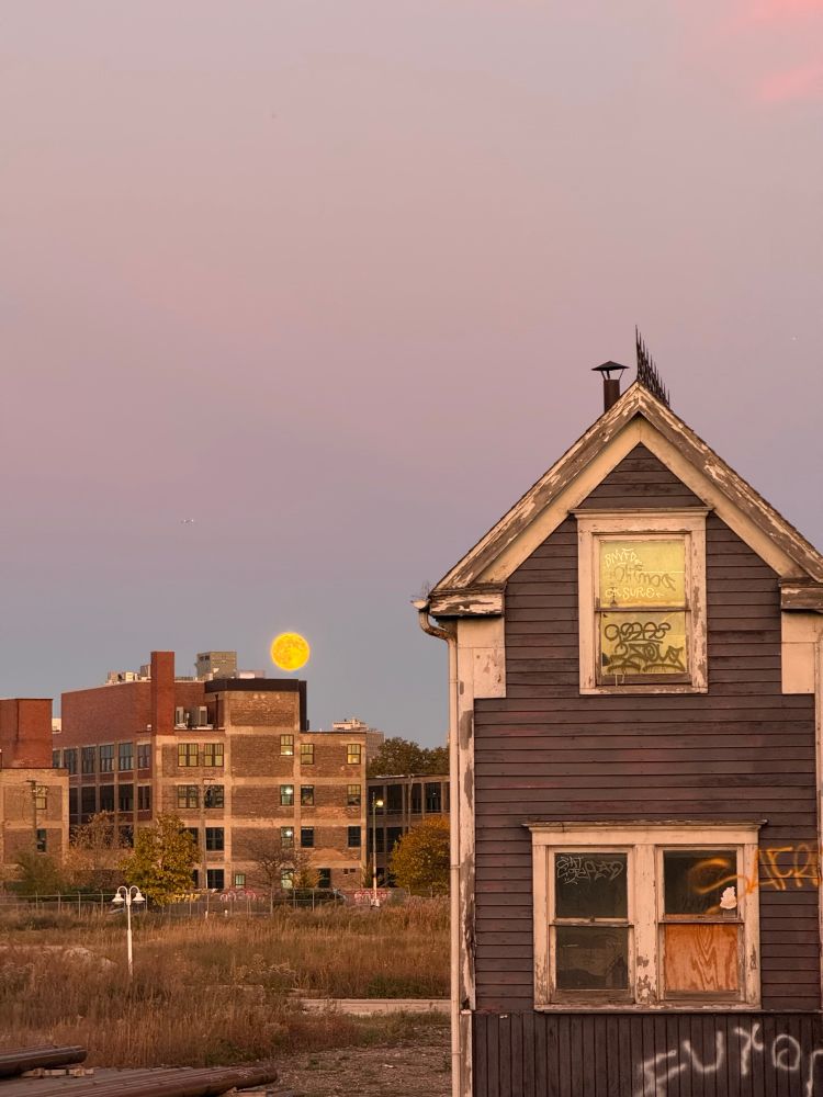 Photo as described in post plus full-ish moon rising