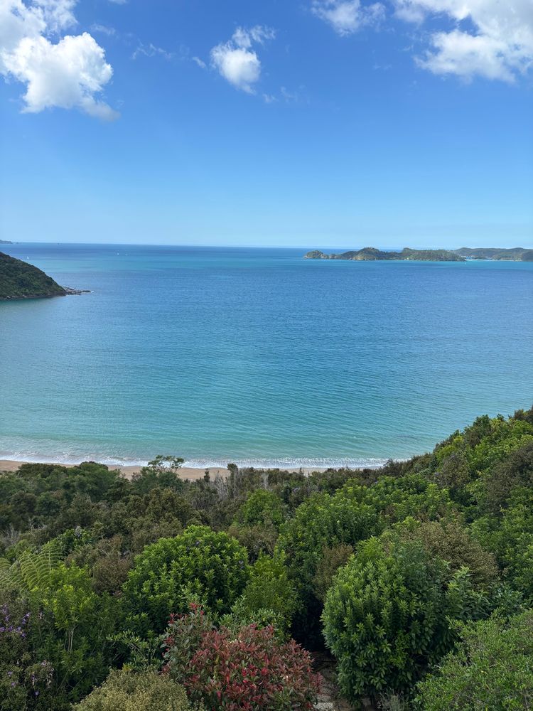 Picture of the forest and the beach and gorgeous water from our rentals porch. 