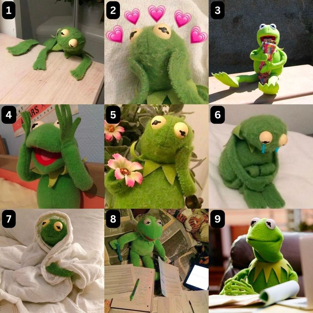9 versions of kermit the frog. 1 is climbing up a table helplessly, 2 is in love, 3 is eating ice cream happily, 4 is hands on cheeks shocked, 5 is flower in hand maybe poetic?, 6 is crying in fetal position, 7 is wrapped in cozy blanket, 8 is staring at a bunch of notebooks, 9 is fingers intertwined smiling at desk