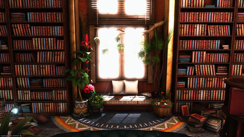 A front view of the new reading nook and the plants surrounding it. I love this spot.