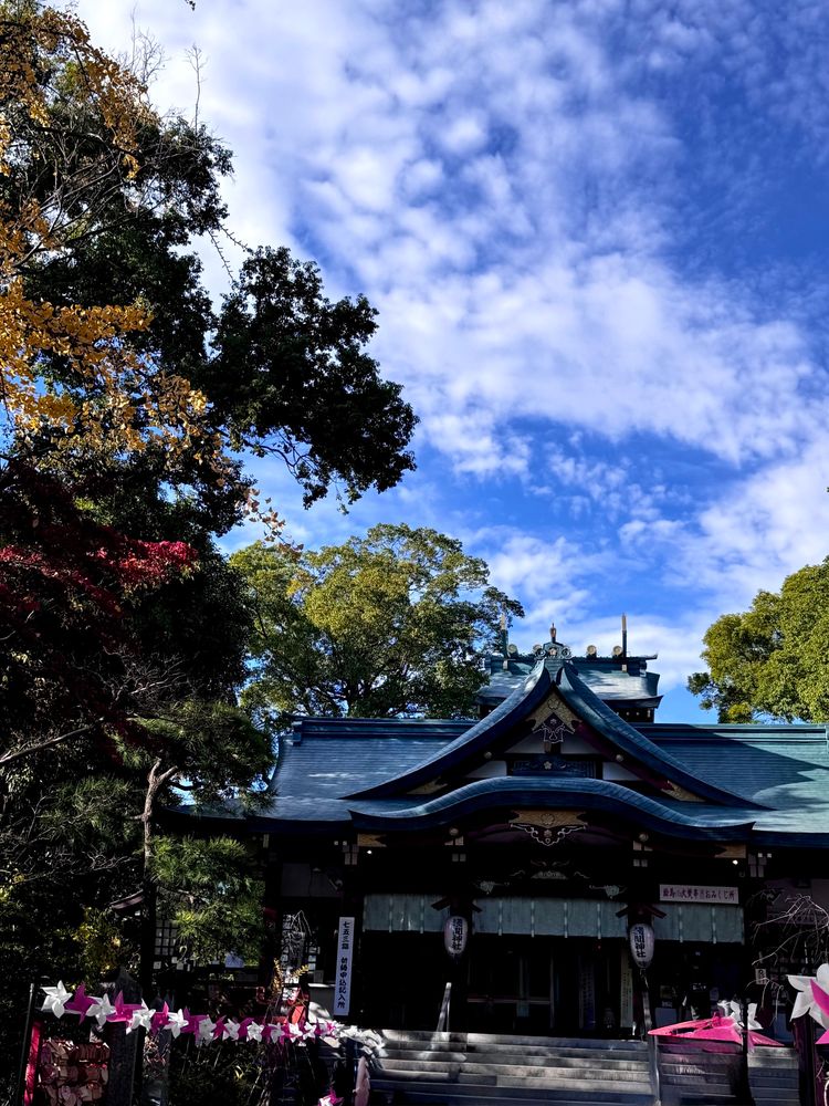 今日の多摩川浅間神社