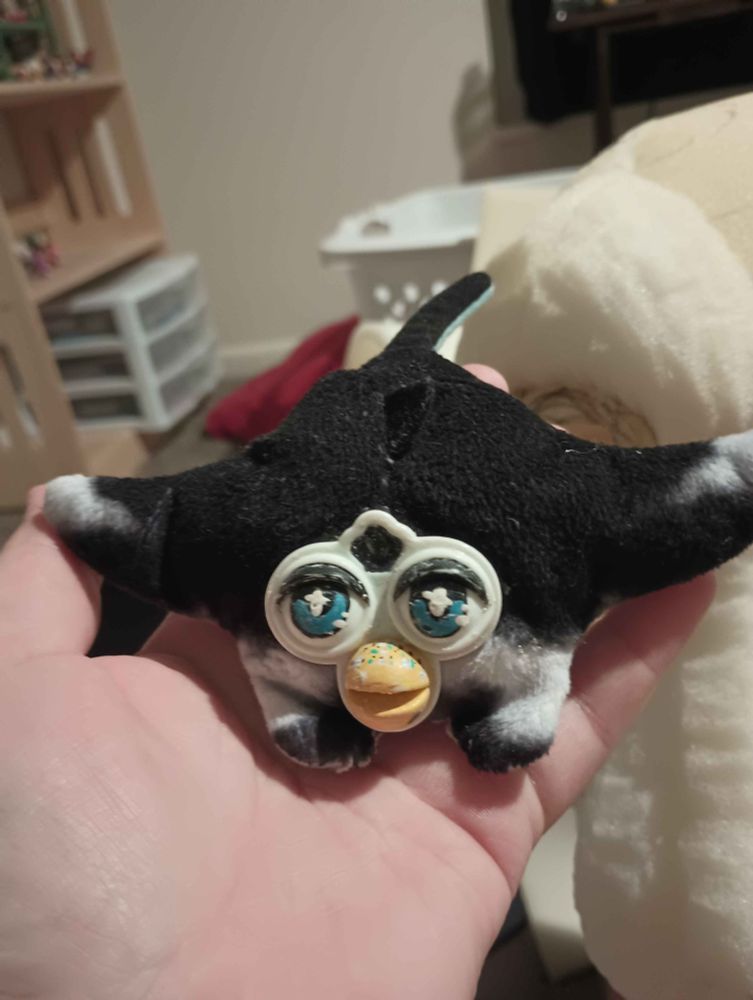 A odd body furby with the body of a manta ray. It's eyes are painted and it's beak has freckles. It is being held by a Caucasian hand in a messy room (sorry).