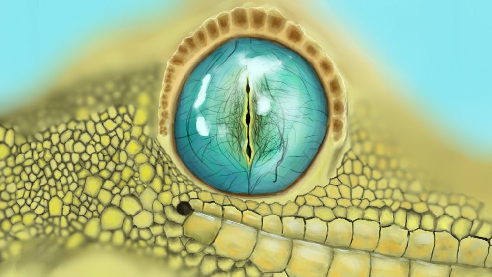 Digital Painting of a Gecko's Eye