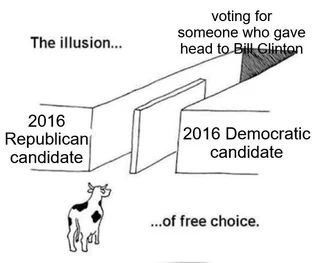 Comic of a cow looking at two hallways, both lead to the same endpoint.

Text reads:

Top-left: The illusion...
Top-right: voting for someone who gave head to Bill Clinton
Bottom-left: 2016 Republican candidate
Bottom-right: 2016 Democratic candidate