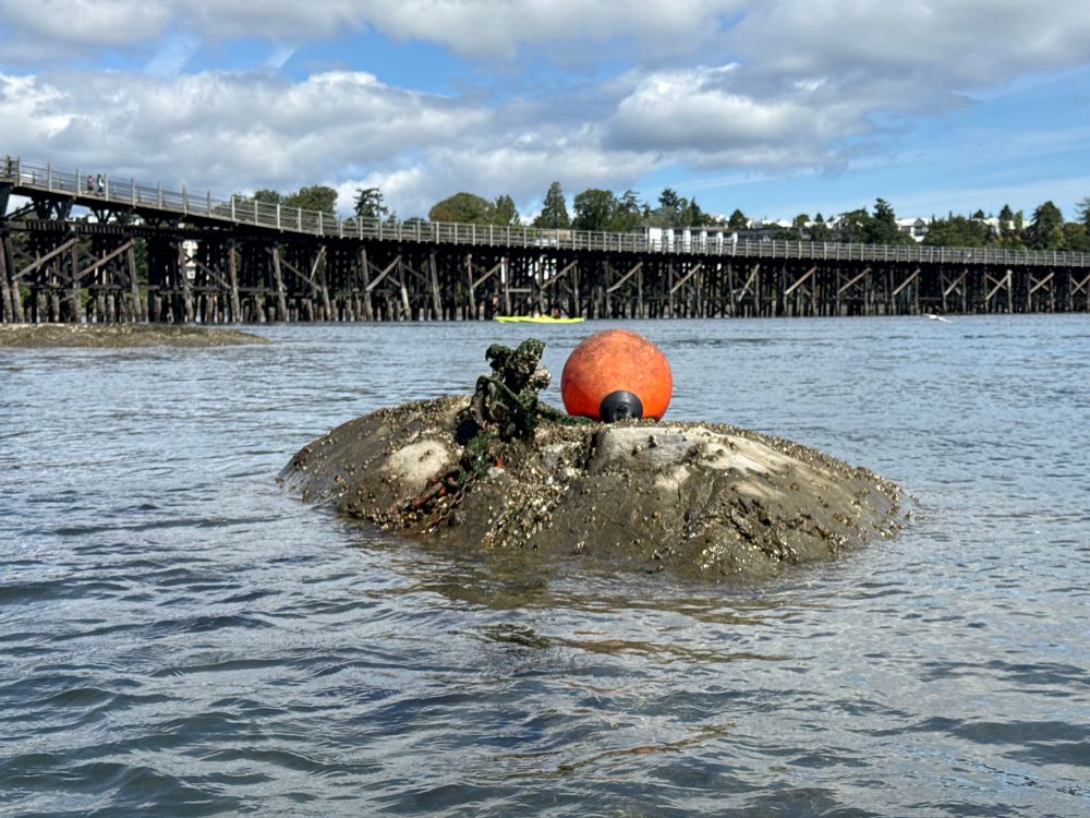A small buoy sits on a rock at low tide, fixed in place with an algae-covered chain. An old wooden trestle is visible in the distance.