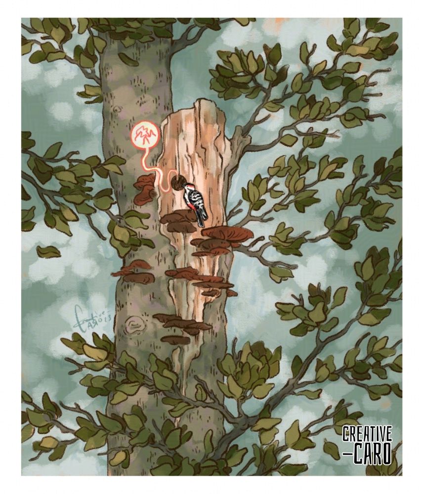 A digital illustration of a woodpecker family #birds #specht #vögel