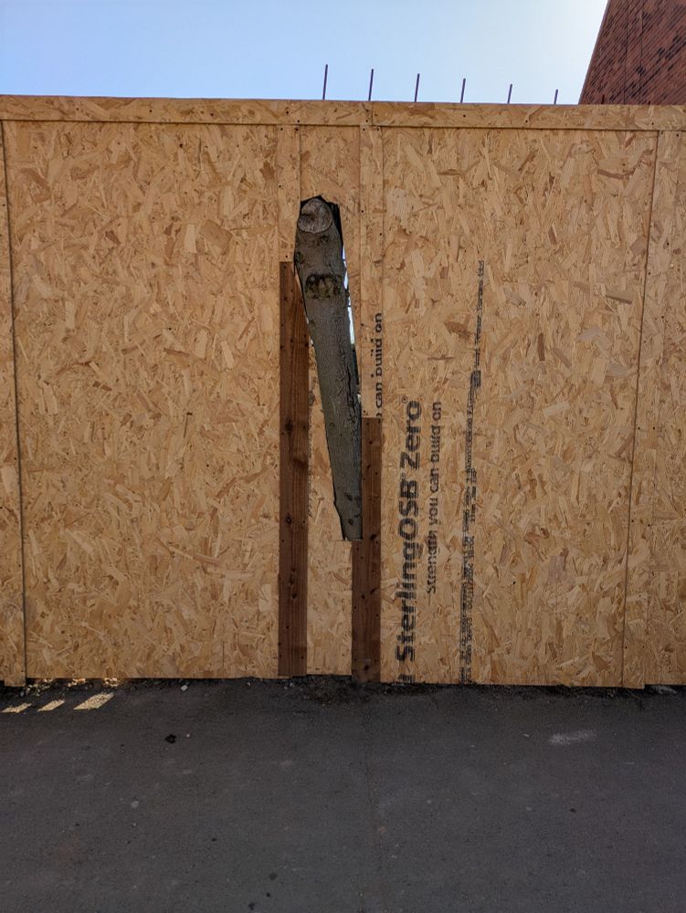 A wooden barrier with a hole cut in the middle for part of a tree trunk leaning outward. 