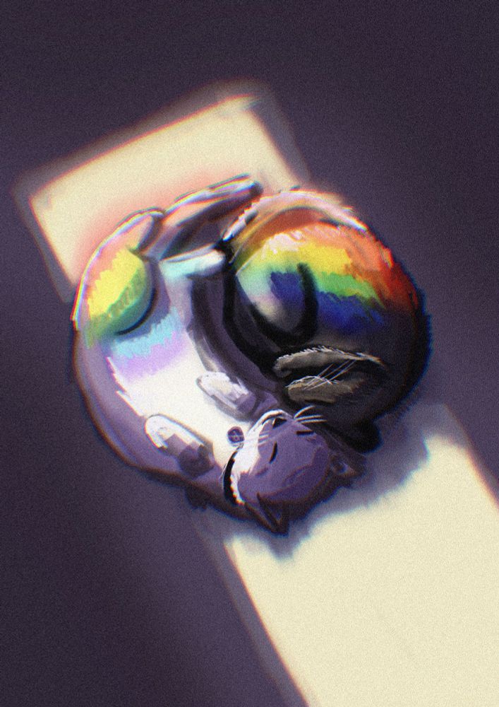 illustration of a black cat and a white cat laying in a patch of sunlight, some of the light is throwing rainbows on the cats