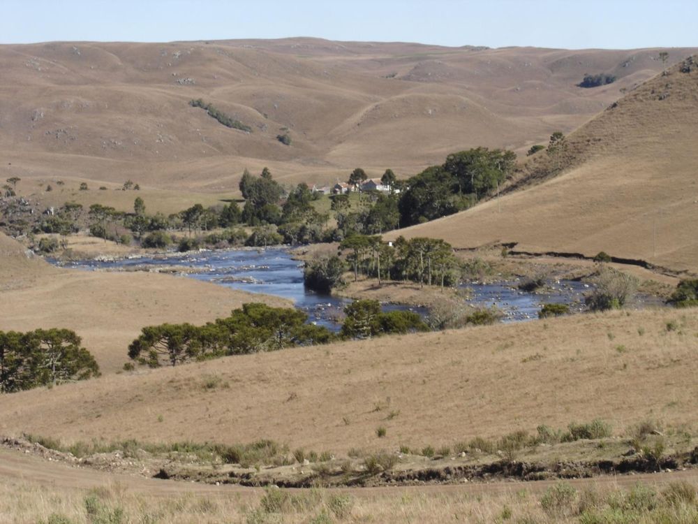 Stream flowing through a grassland landscape