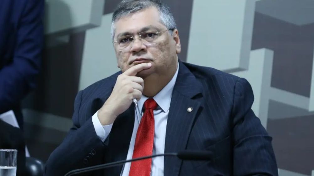 Flávio Dino propõe expropriação de terras onde ocorram incêndios ilegais para desmatamento