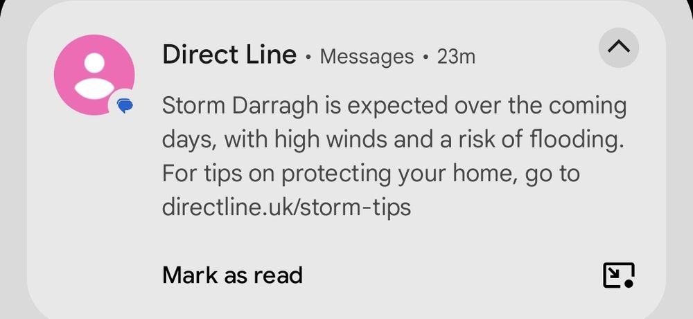 A text message from Direct Line Insurance, reading:
Storm Darragh is expected over the coming days, with high winds and a risk of flooding. For tips on protecting your home, go to directline.uk/storm-tips