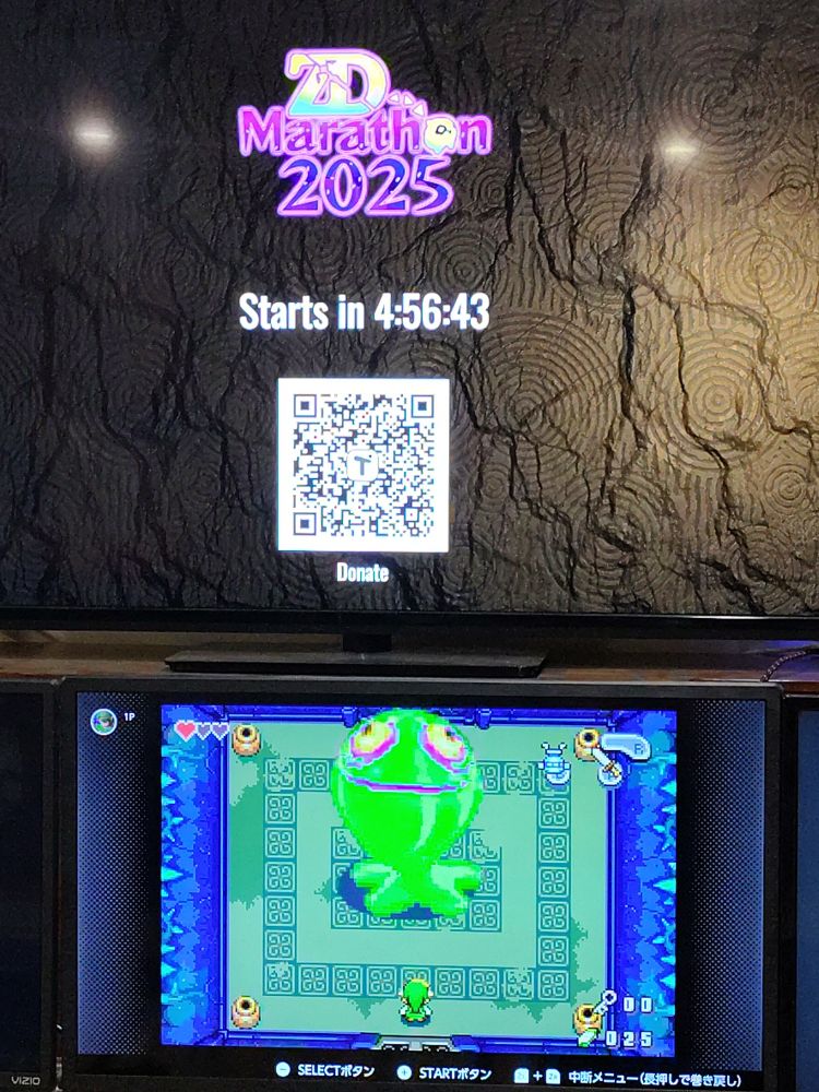 Zelda Dungeon Marathon 2025: Starts in less than 5 hours