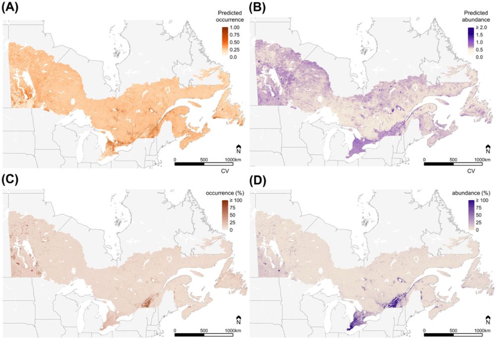 Predicted occurrence (A) and abundance (B) of American Woodcock in Canad and the associated error with those predictions. 