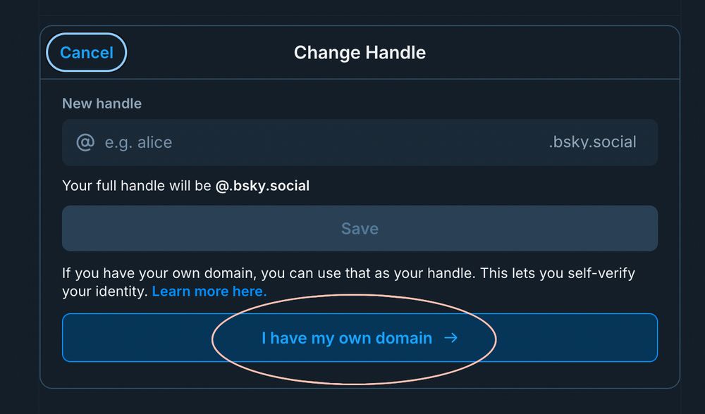 Bluesky settings menu, Change Handle dialog. "I have my own domain" button circled